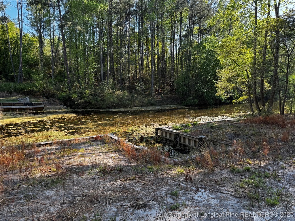 864 Vic Keith Road Sanford, NC 27332 - Photo 9 of 19 a view of a swimming pool with lawn chairs under an umbrella