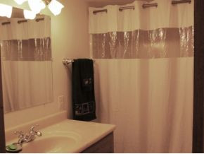 125 Reece Tunnell Circle Fall Branch, TN 37656 - Photo 10 of 12 Main Bathroom