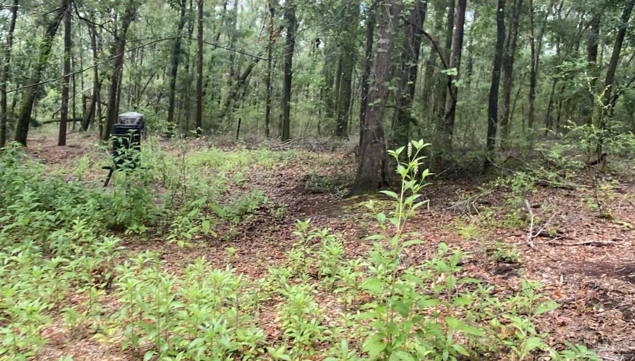 4555 Rocky Branch Road Cantonment, FL 32533 - Photo 6 of 9 Gallery Image 6