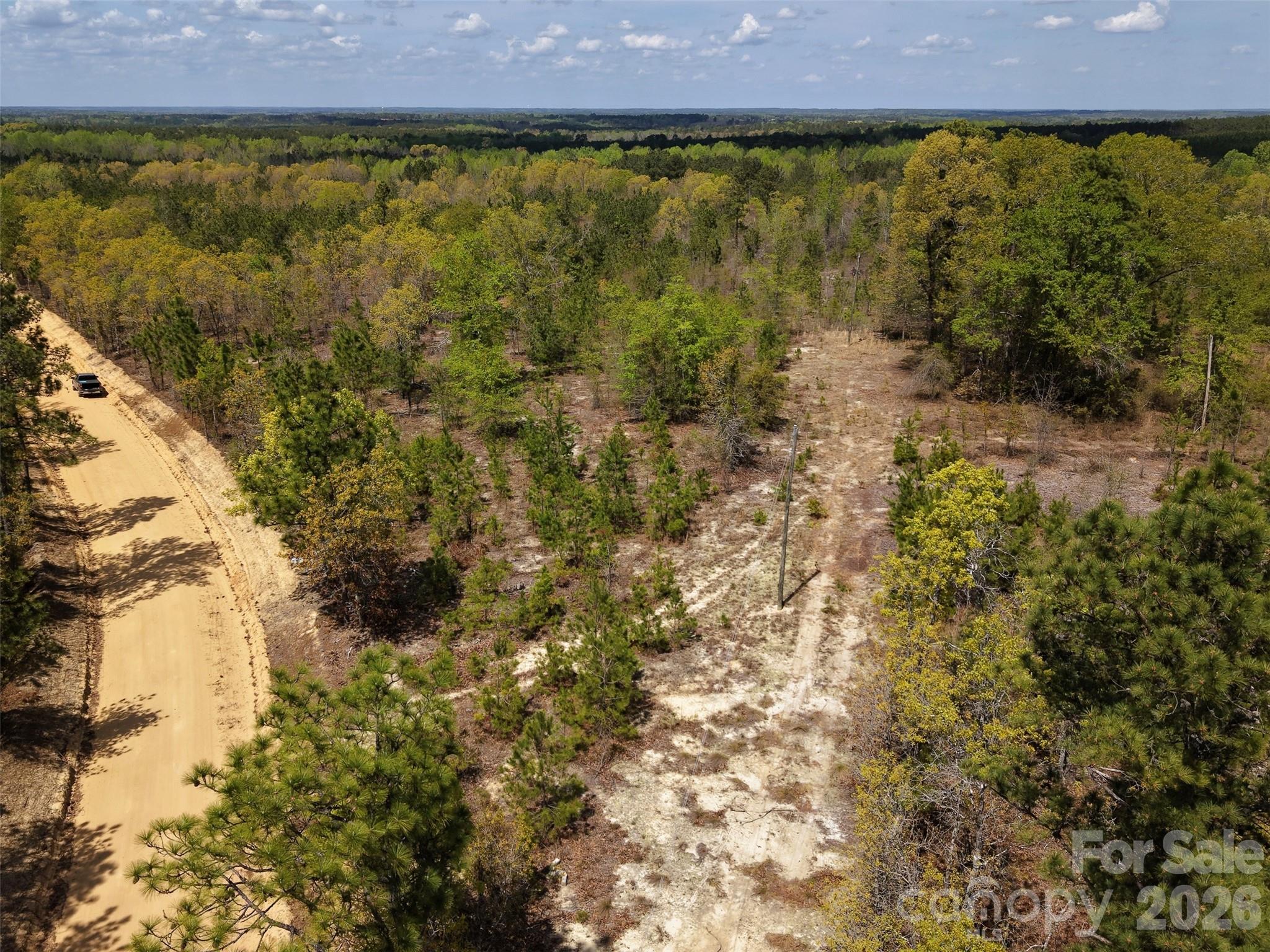0 McQueen Road Patrick, SC 29584 - Photo 14 of 25