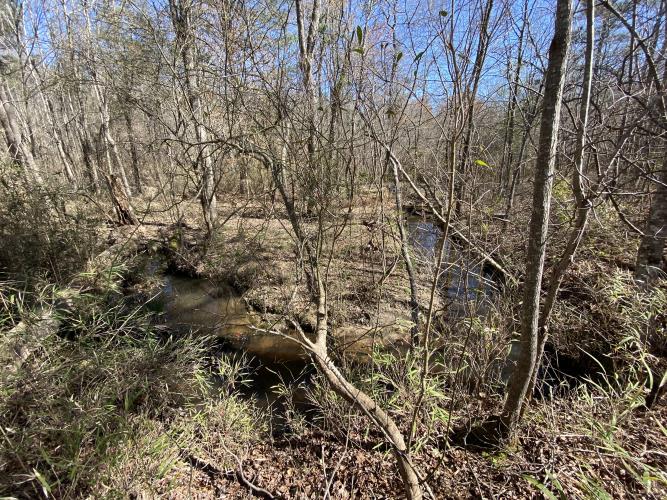 - Middlesex, NC 27557 - Photo 11 of 72