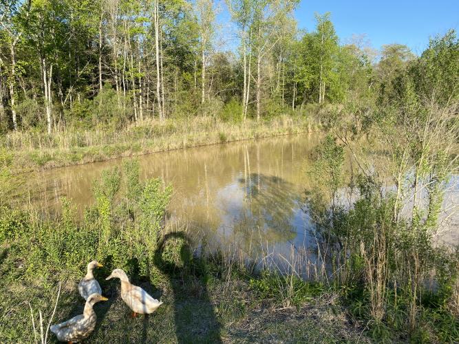 - Middlesex, NC 27557 - Photo 2 of 72