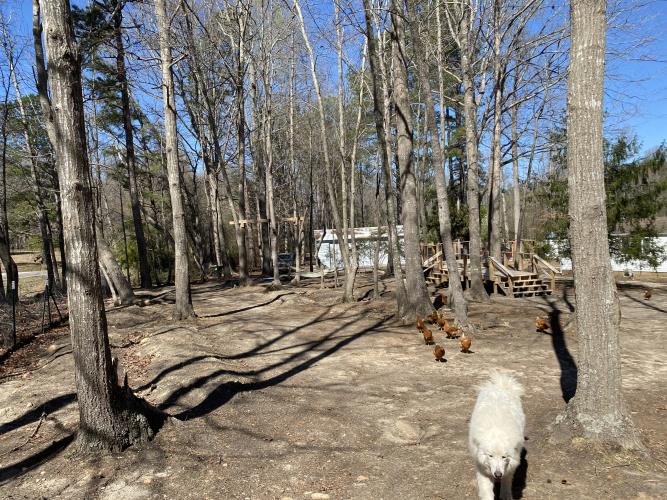 - Middlesex, NC 27557 - Photo 44 of 72