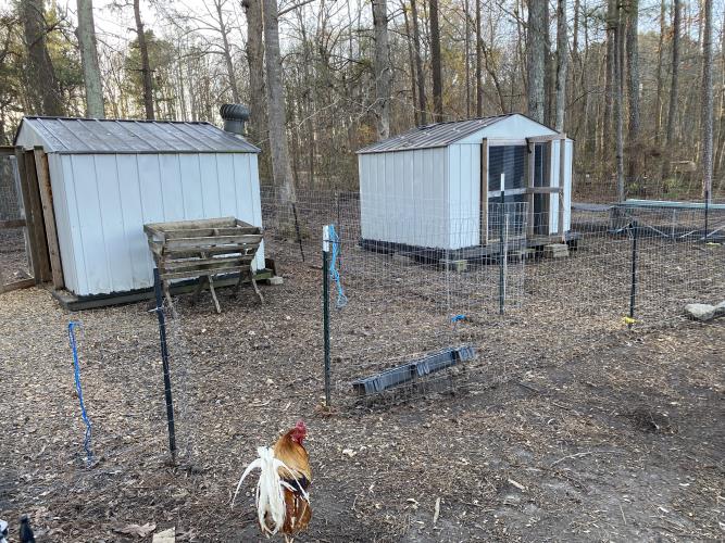 - Middlesex, NC 27557 - Photo 62 of 72