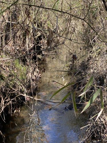 - Middlesex, NC 27557 - Photo 10 of 72