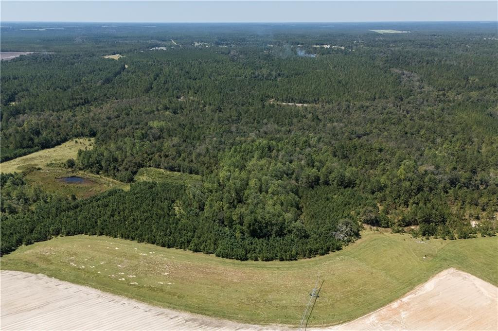 1603 Dl Durrence Road Reidsville, GA 30453 - Photo 31 of 31 Photo 31