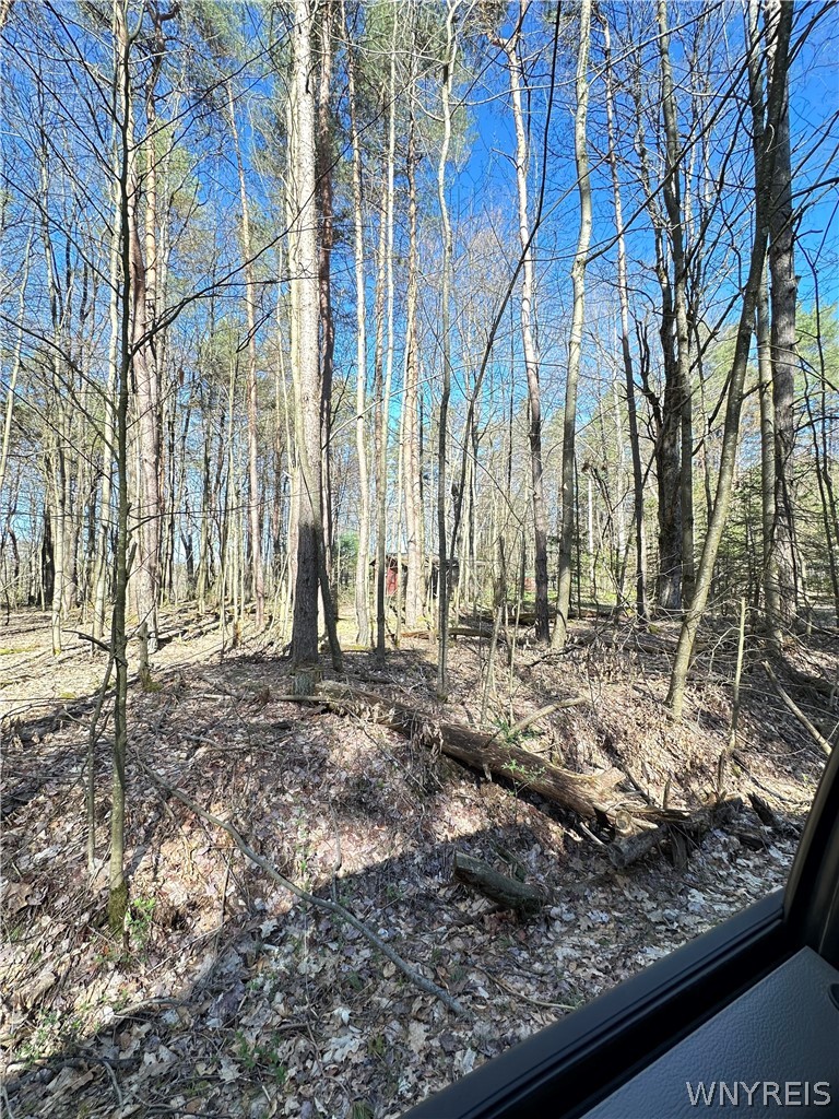 3631 Pine Ridge Road Clarksville, NY 14727 - Photo 25 of 31 road view