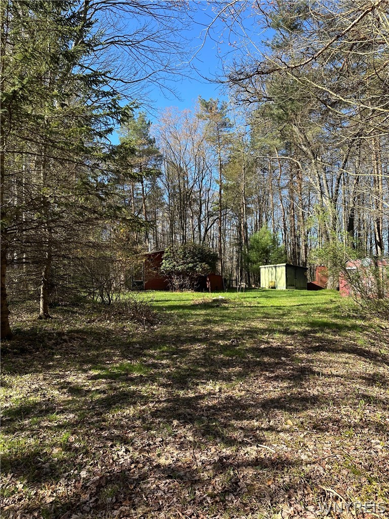 3631 Pine Ridge Road Clarksville, NY 14727 - Photo 9 of 31