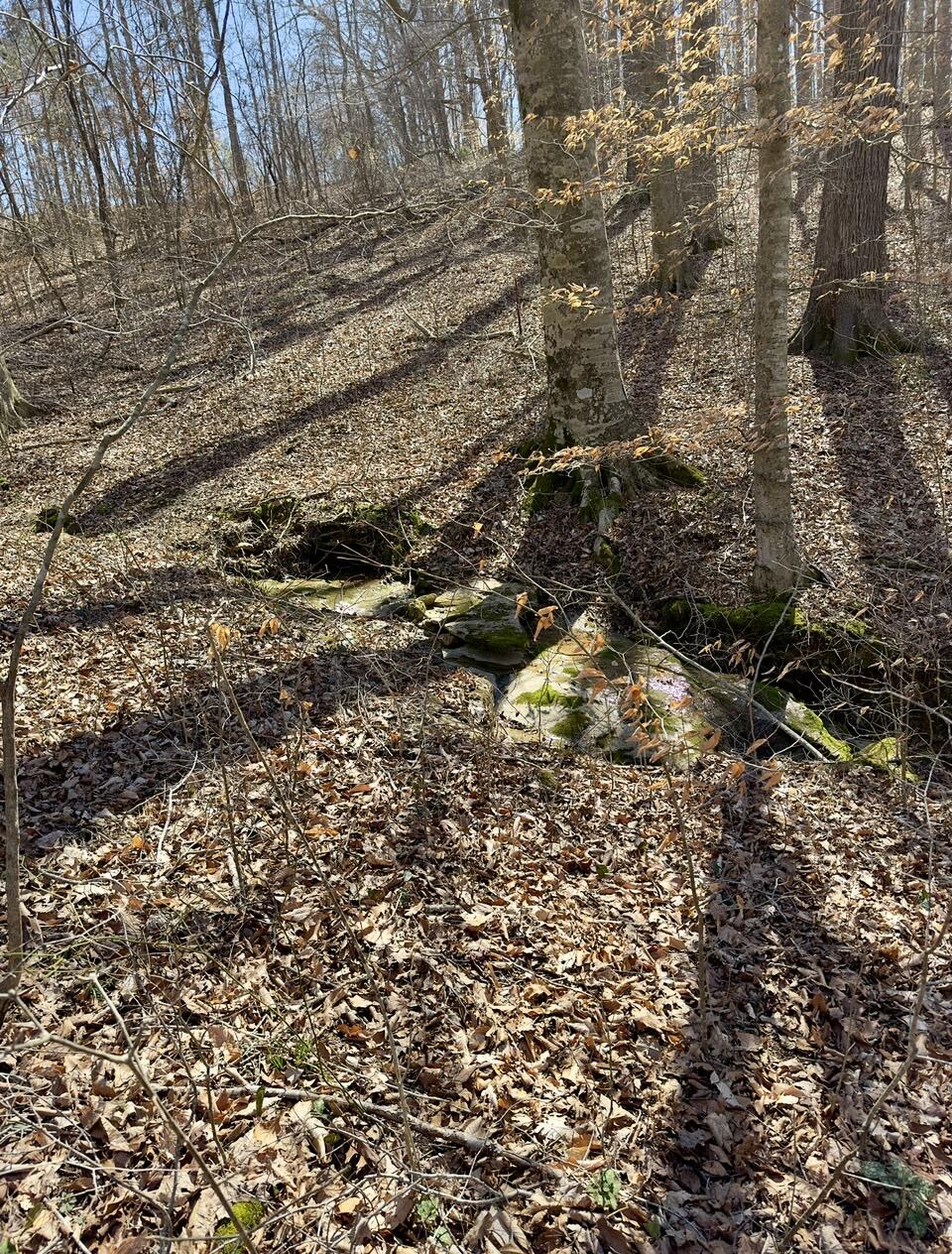 8 Carters Dock Road Alpha, KY 42603 - Photo 7 of 7 IMG_7684