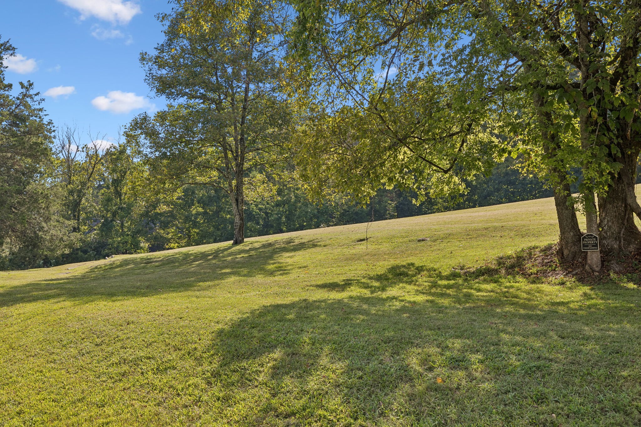 110 Hidden Valley Road Arrington, TN 37014 - Photo 12 of 24 Gallery Image 12