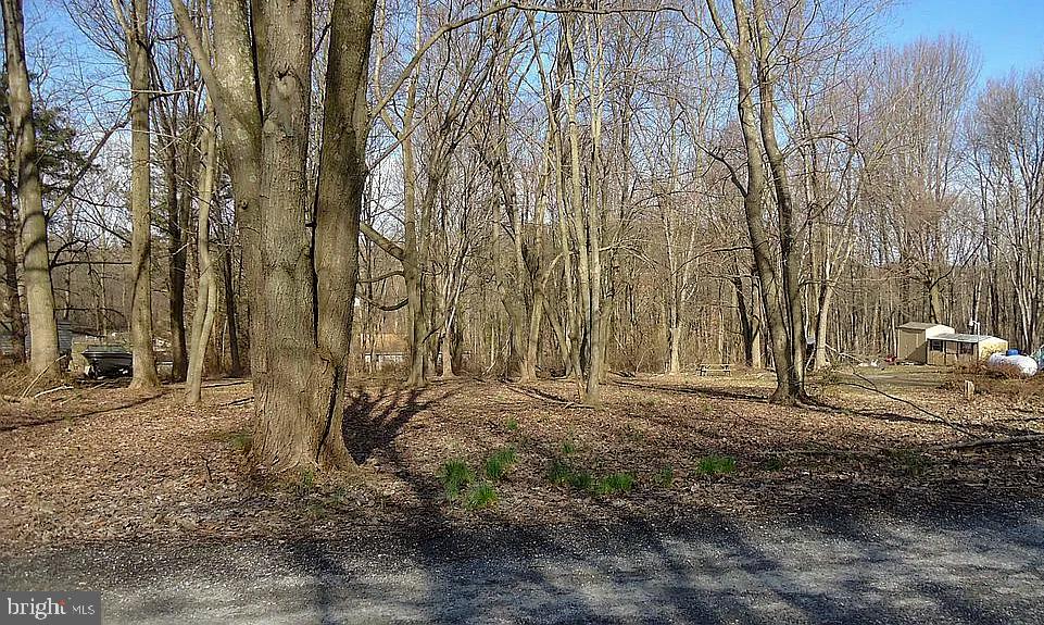 0 Dogwood Road Airville, PA 17302 - Photo 2 of 3 a view of a backyard with large trees