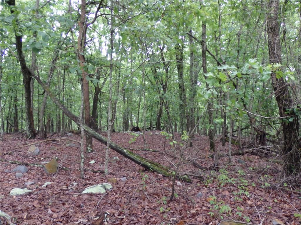 1390 Sierra Trace Road Denton, NC 27239 - Photo 8 of 12