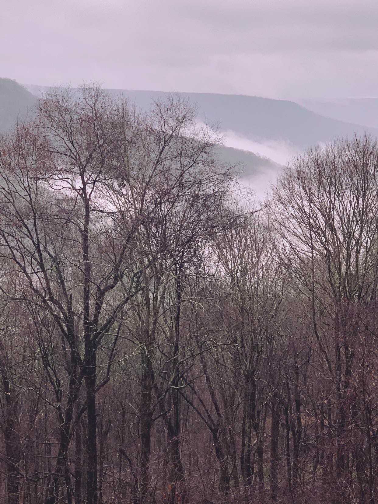 569 Haynes Road Sewanee, TN 37375 - Photo 88 of 92 Gallery Image 88