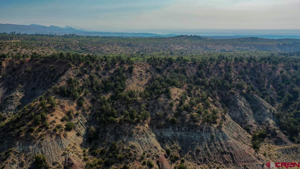 Tbd La Posta Canyon Road Durango, CO 81303 - Photo 12 of 20 a view of a forest with a mountain