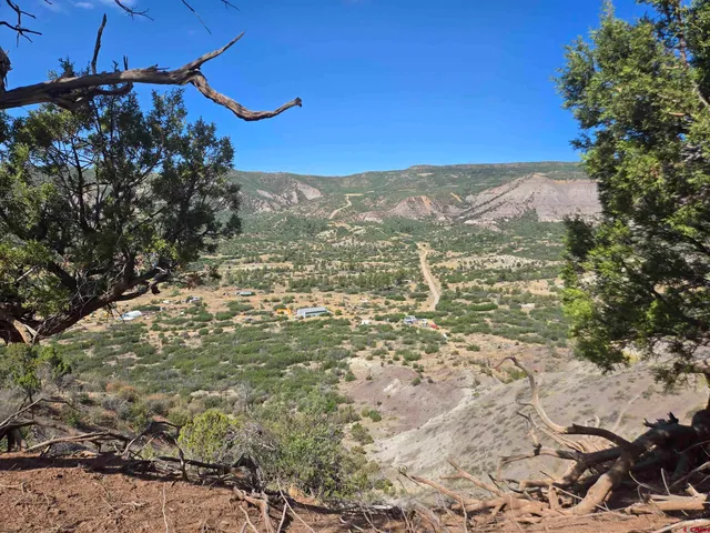 a black and white photo of a book