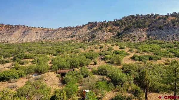 a view of a forest with a forest