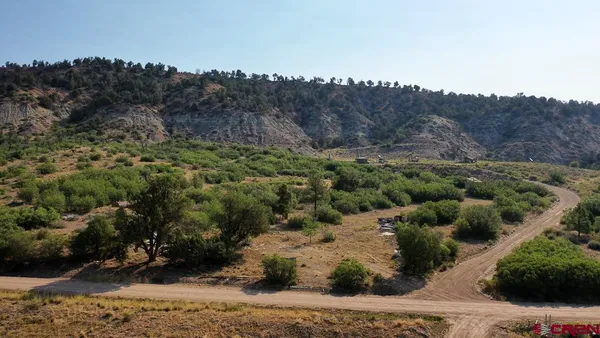 a view of a forest with a forest