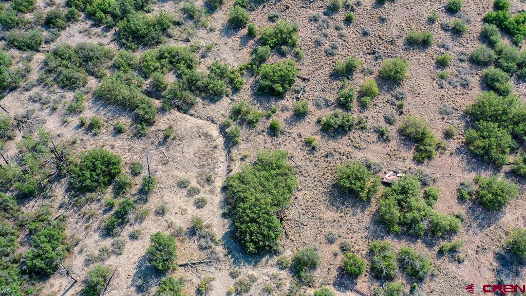 Tbd La Posta Canyon Road Durango, CO 81303 - Photo 7 of 20 a view of a yard with plants and tree