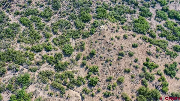 an aerial view of residential house with outdoor space and trees all around