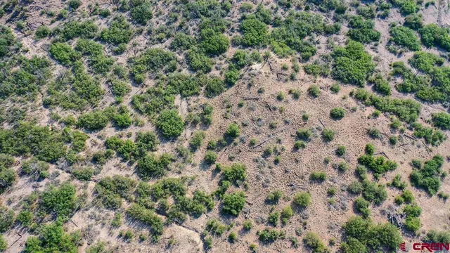 an aerial view of residential house with outdoor space and trees all around