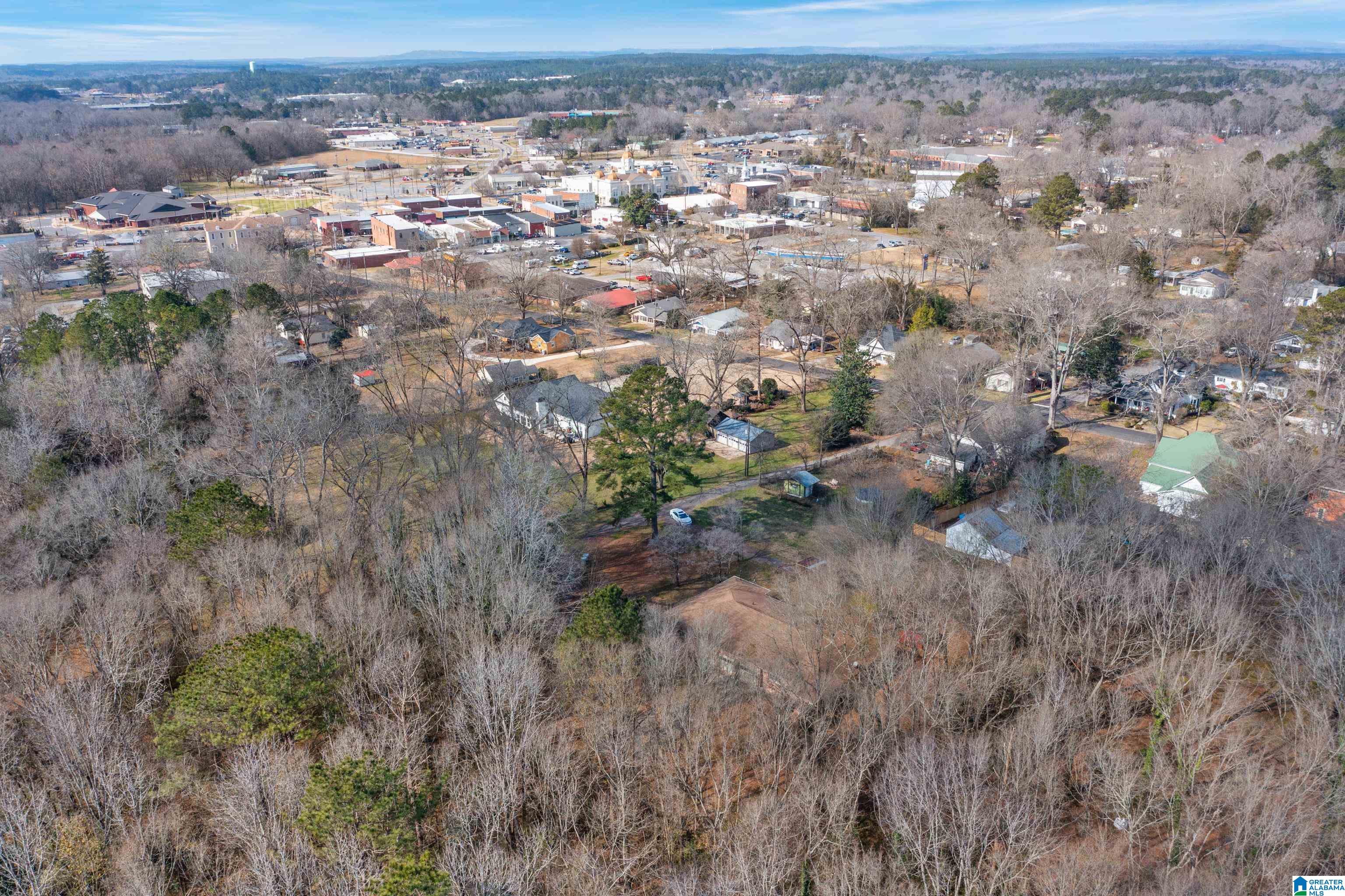 93 Richey Lane, Unit 3 & 4 Columbiana, AL 35051 - Photo 35 of 39