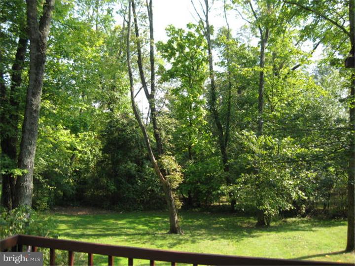 736 Meadowlark Road Audubon, PA 19403 - Photo 7 of 8 Back Yard