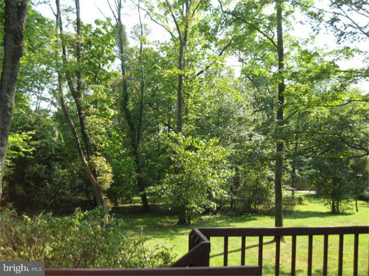 736 Meadowlark Road Audubon, PA 19403 - Photo 8 of 8 Back Yard