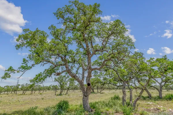 $125,000 | 100 Spring Crossing, Junction, TX 76849