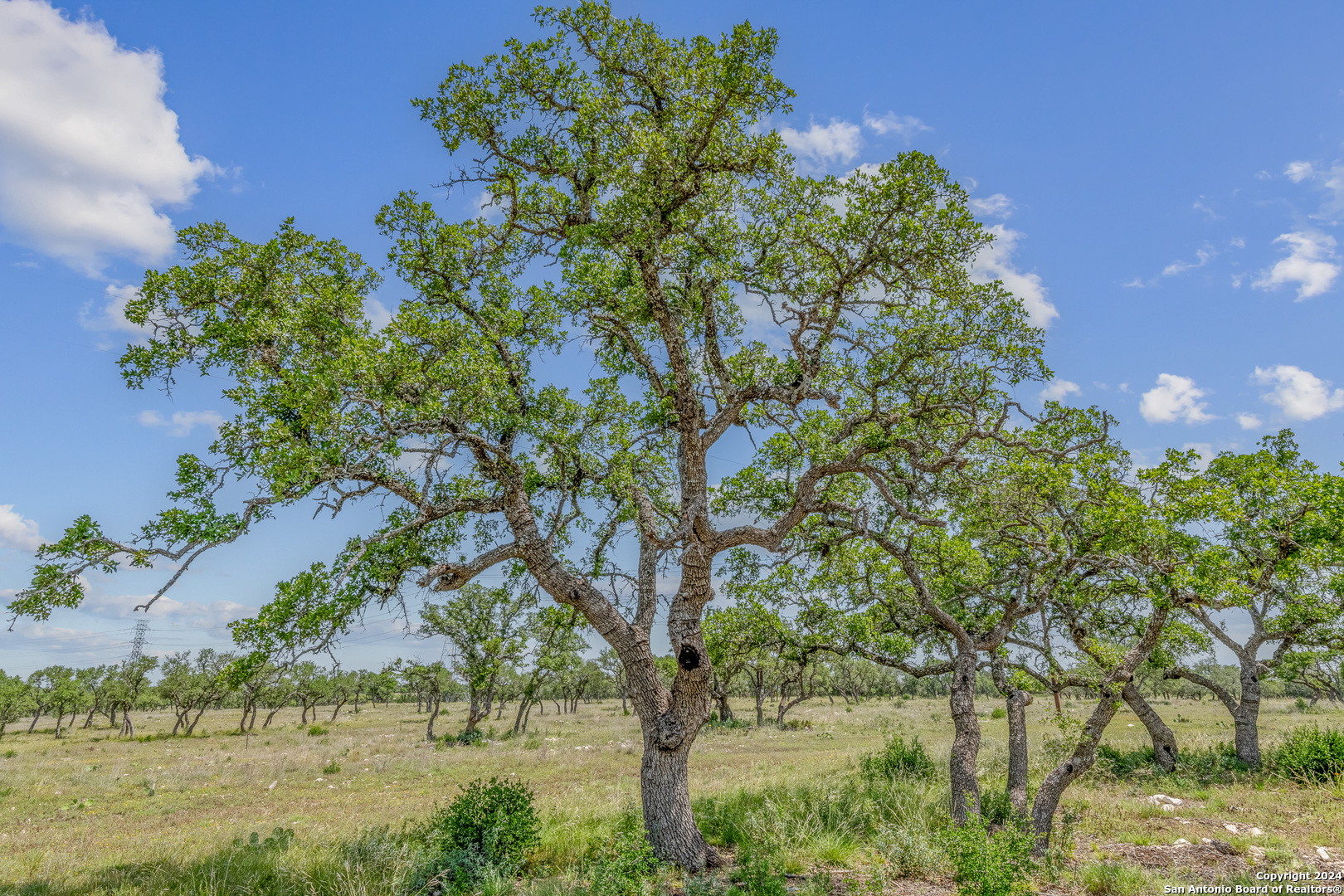 100 Spring Crossing Junction, TX 76849 - Photo 4 of 23