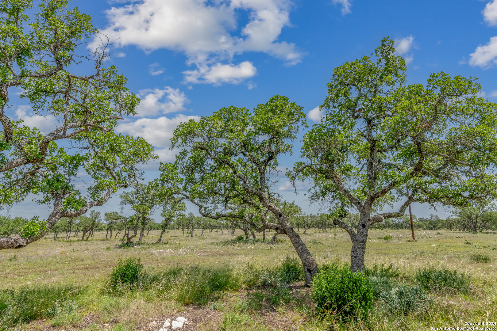 100 Spring Crossing Junction, TX 76849 - Photo 5 of 23