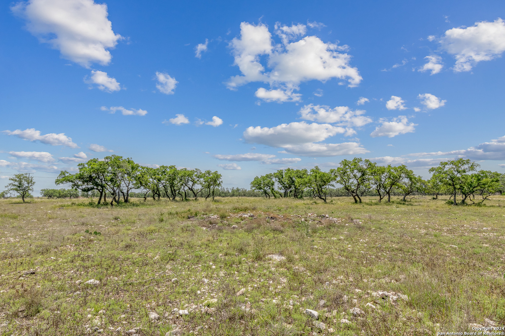 100 Spring Crossing Junction, TX 76849 - Photo 6 of 23