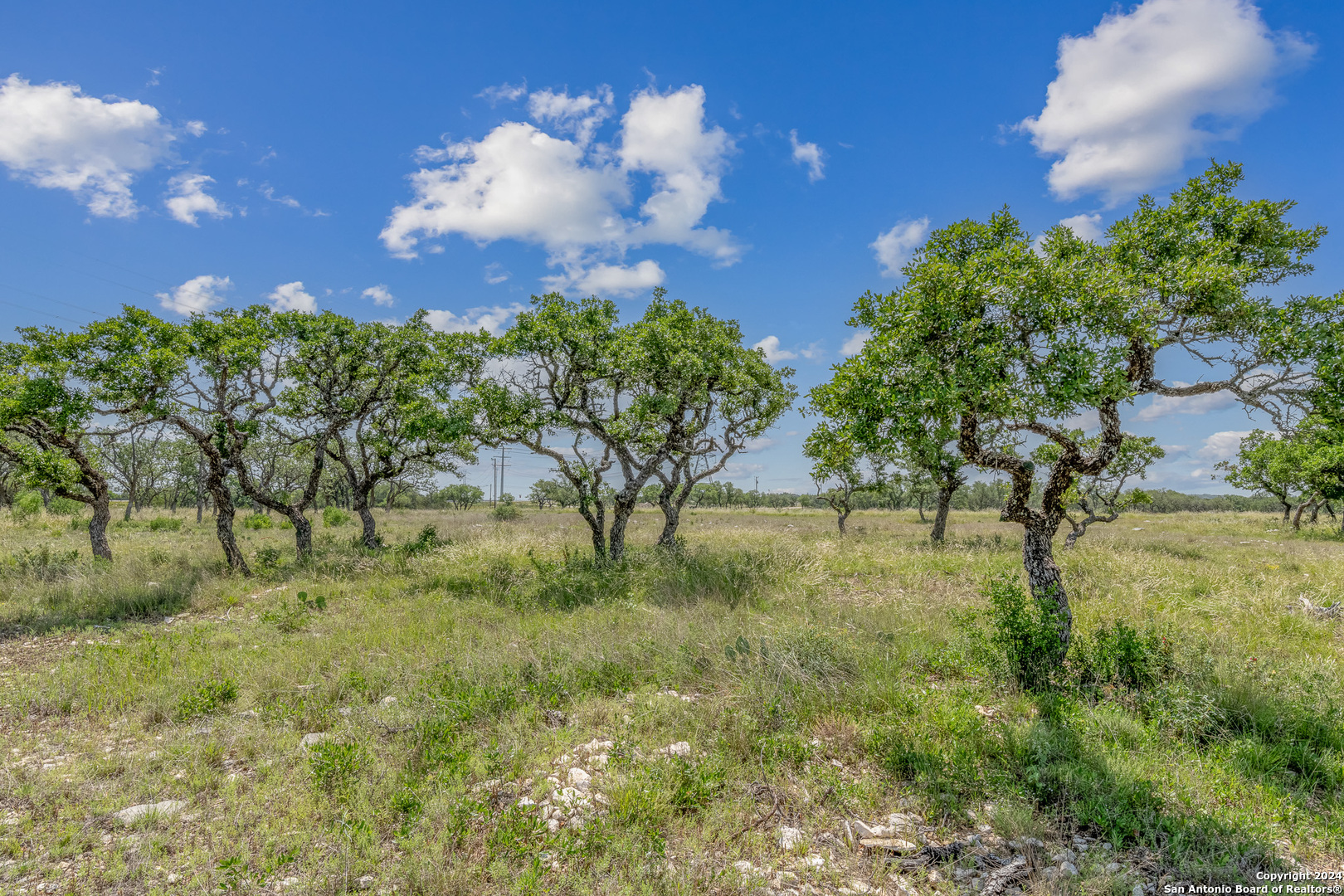 100 Spring Crossing Junction, TX 76849 - Photo 7 of 23