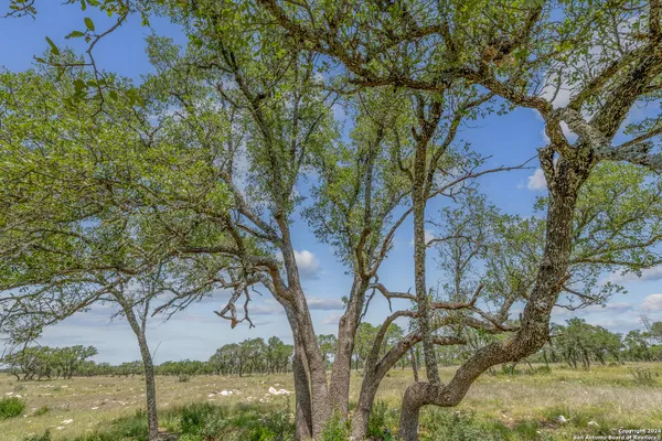 $125,000 | 100 Spring Crossing, Junction, TX 76849