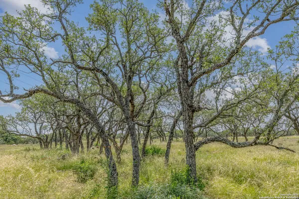 $125,000 | 100 Spring Crossing, Junction, TX 76849