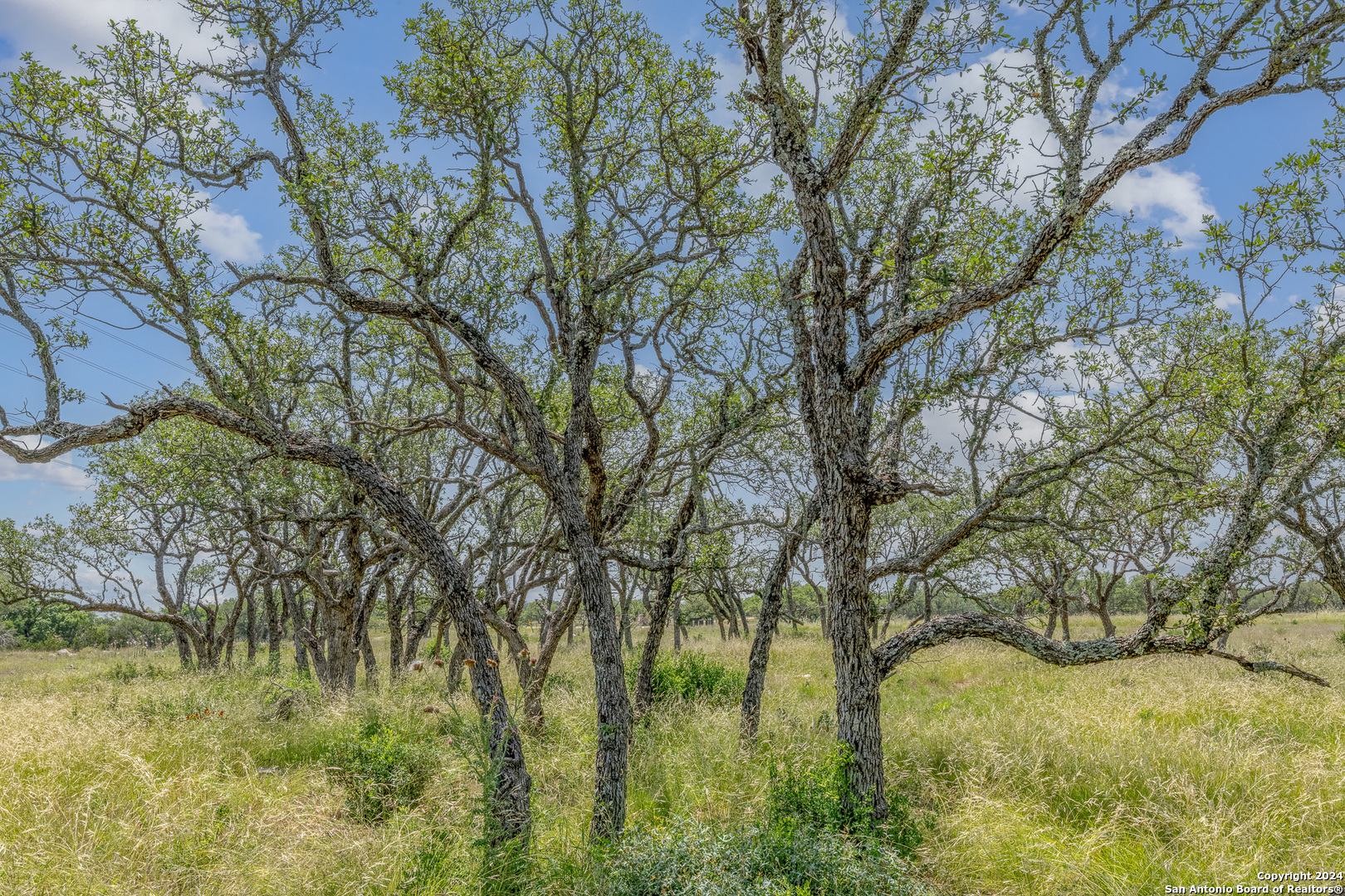 100 Spring Crossing Junction, TX 76849 - Photo 9 of 23