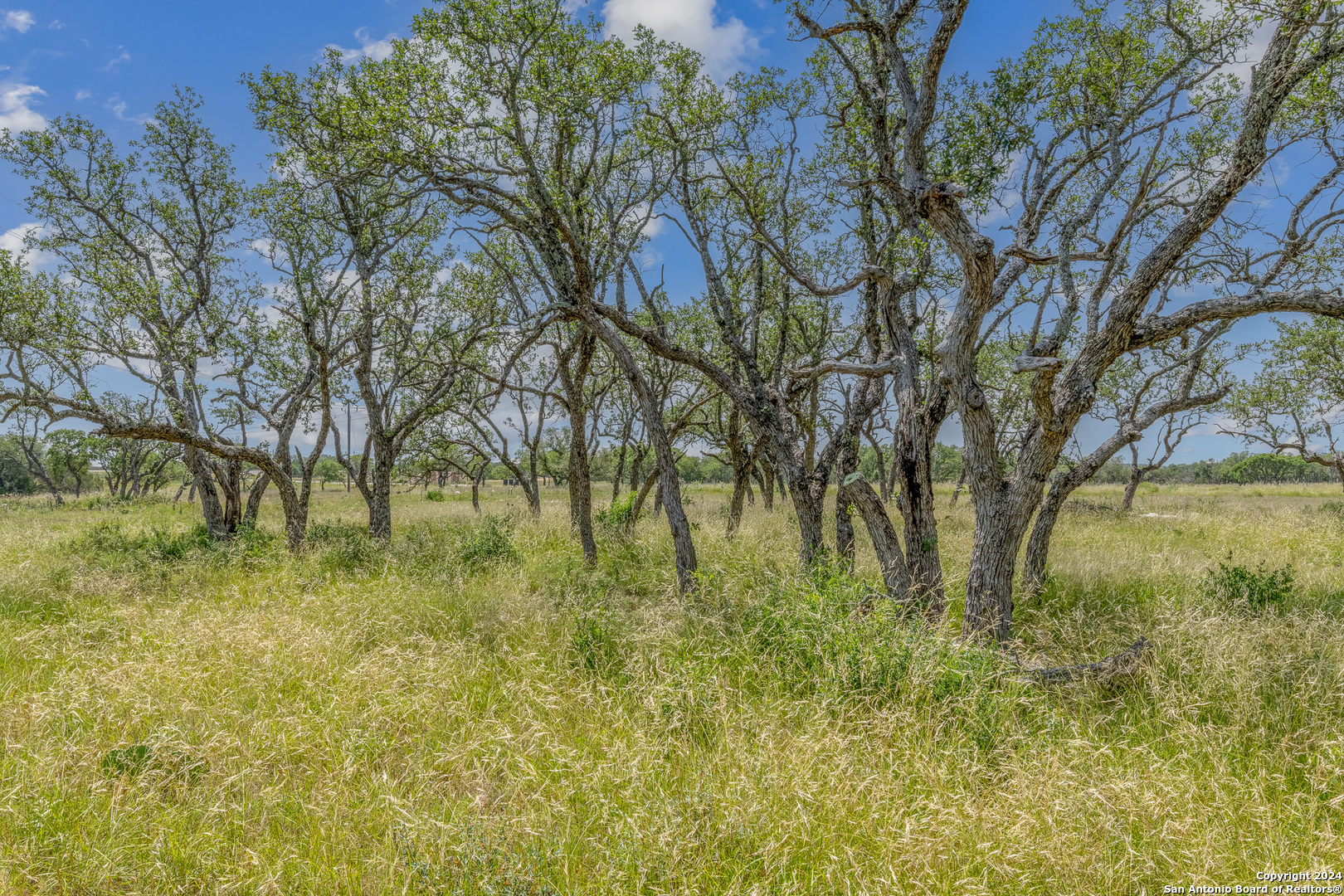 100 Spring Crossing Junction, TX 76849 - Photo 10 of 23