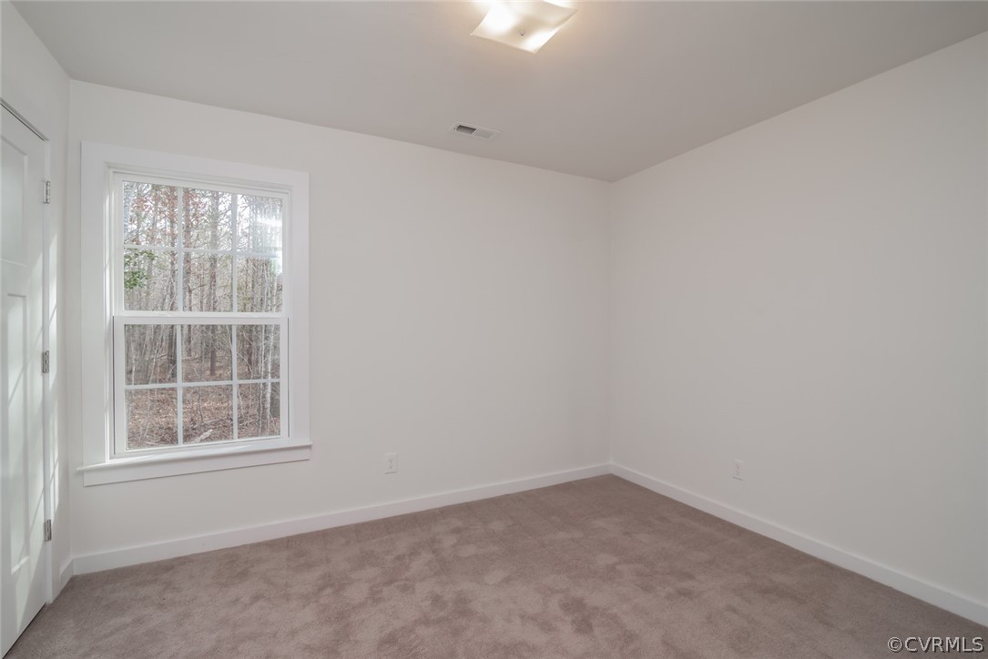 19479 Rivertown Road Yale, VA 23897 - Photo 17 of 30 Gallery Image 17
