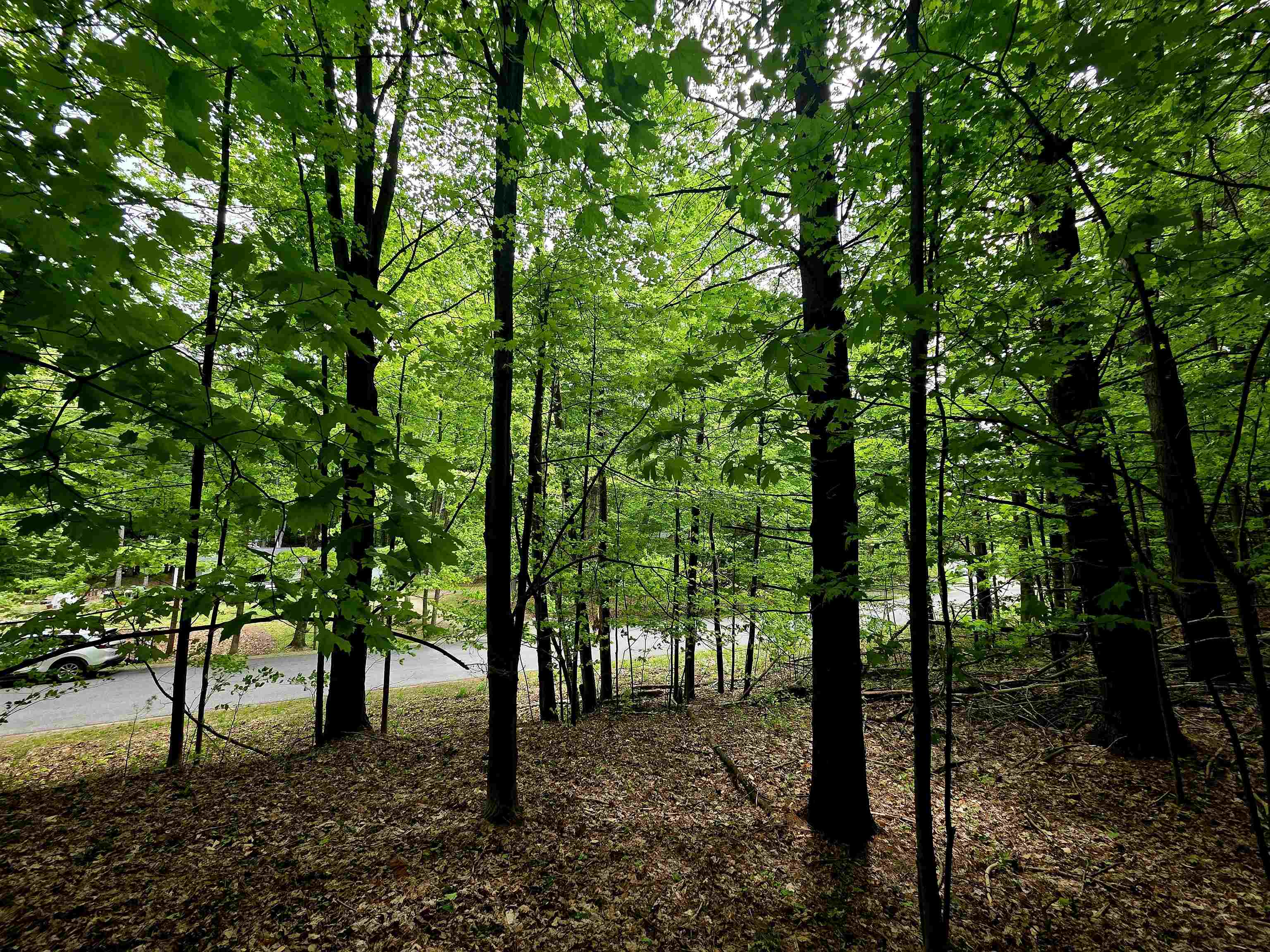 0 Sugarbush Road Kewadin, MI 49648 - Photo 4 of 19