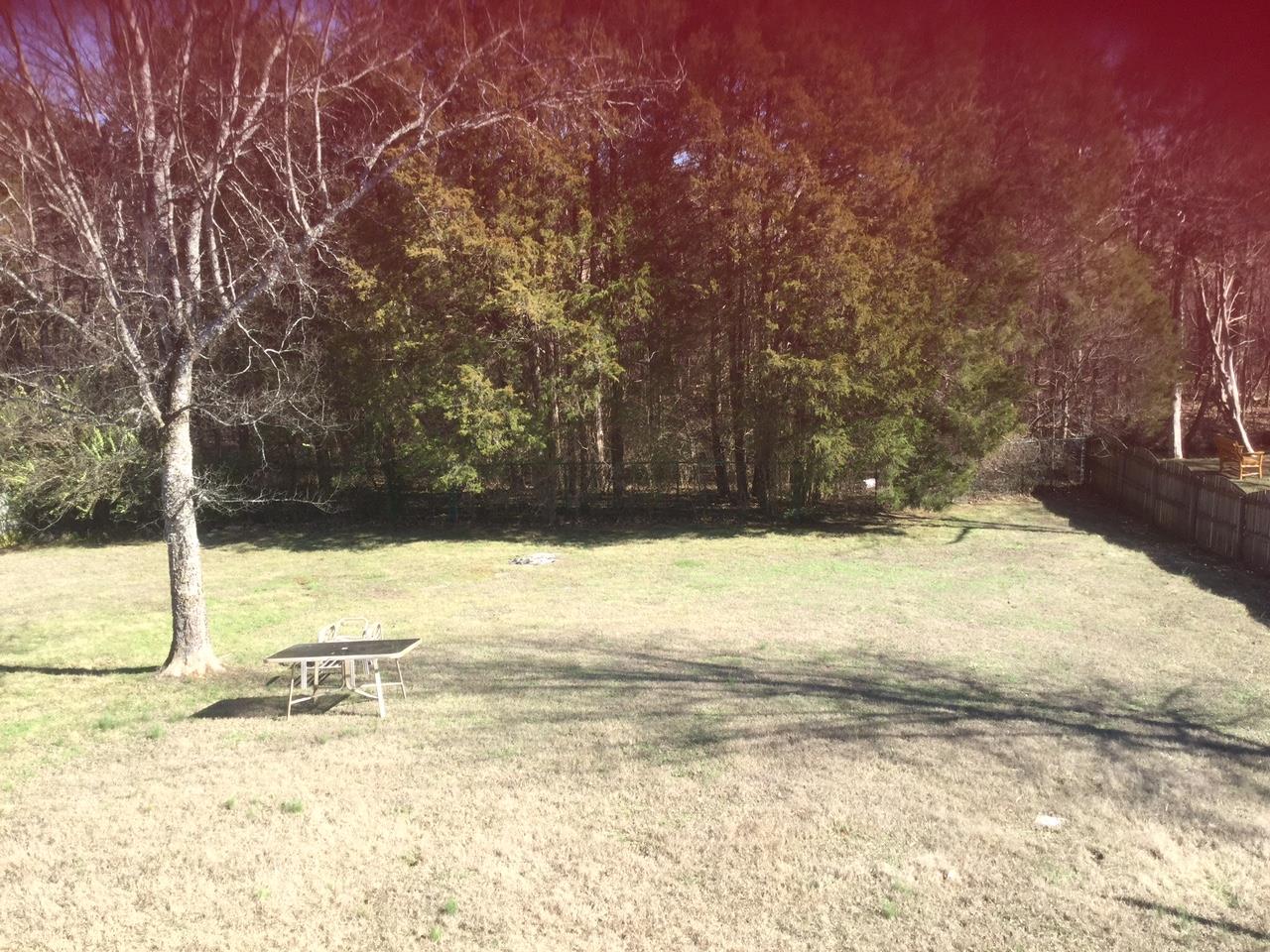 540 Windy Road Mount Juliet, TN 37122 - Photo 4 of 6 a view of a yard with an outdoor space