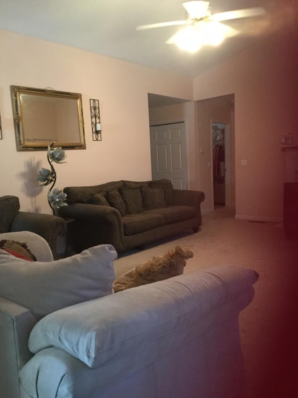 540 Windy Road Mount Juliet, TN 37122 - Photo 5 of 6 a living room with furniture and a mirror