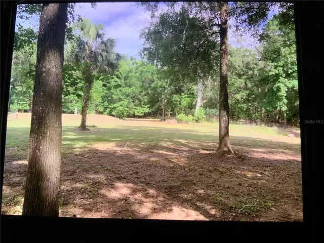 a view of a yard with a tree
