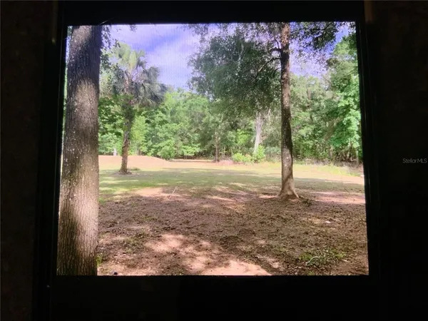 a view of a yard with a tree