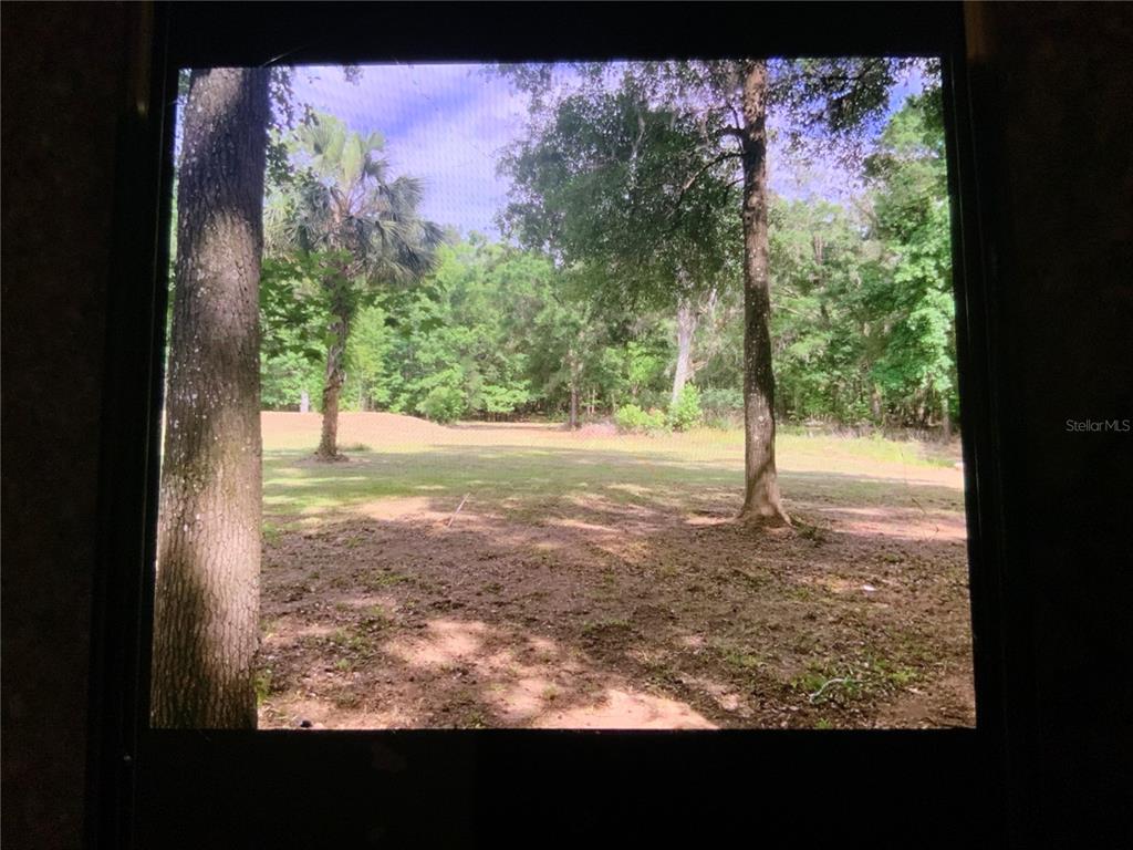 13080 Northwest 168th Place Reddick, FL 32686 - Photo 5 of 19 a view of a yard with a tree
