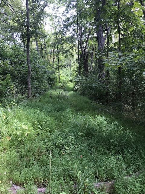 158-acres Eagle Tunnel Road Dry Ridge, KY 41035 - Photo 5 of 22 Gallery Image 5