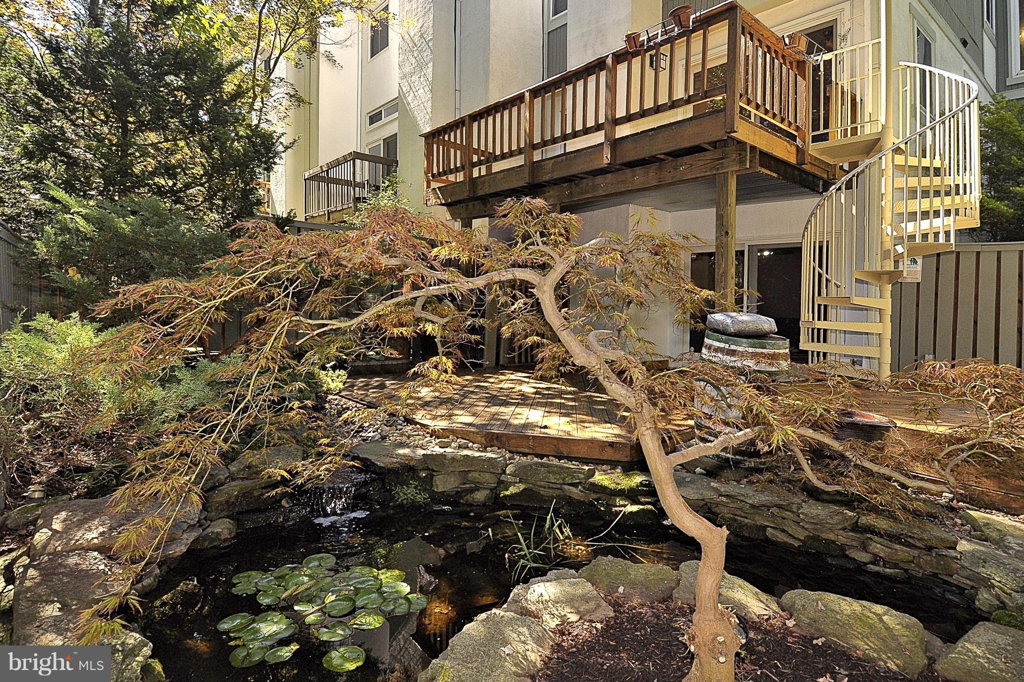 11744 Decade Court Reston, VA 20191 - Photo 11 of 30 serene & private pond and garden