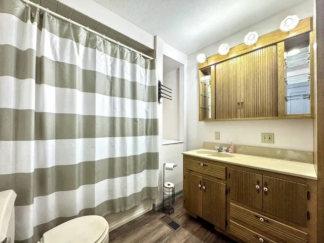 a bathroom with a sink a toilet a mirror and shower curtain
