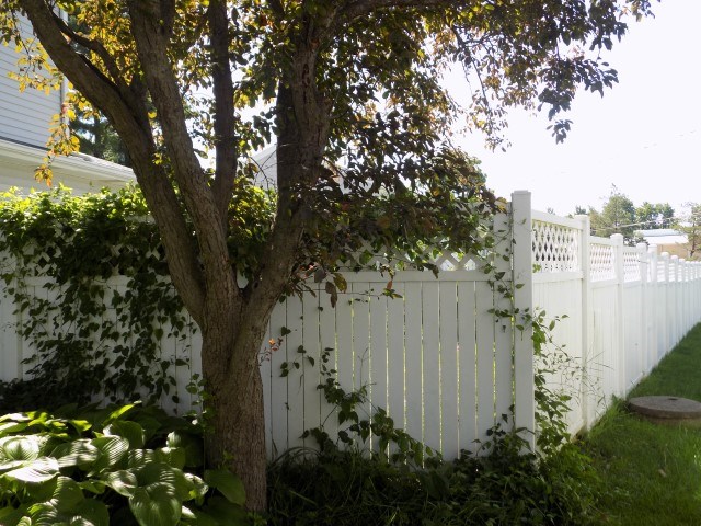 219 West Rugg Street Decatur, IN 46733 - Photo 4 of 23