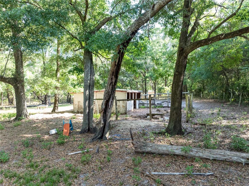 249 Keuka Road Interlachen, FL 32148 - Photo 34 of 49 Gallery Image 34