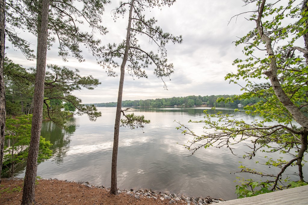 681 Layfield Branch Road Hamilton, GA 31811 - Photo 11 of 75 Gallery Image 11