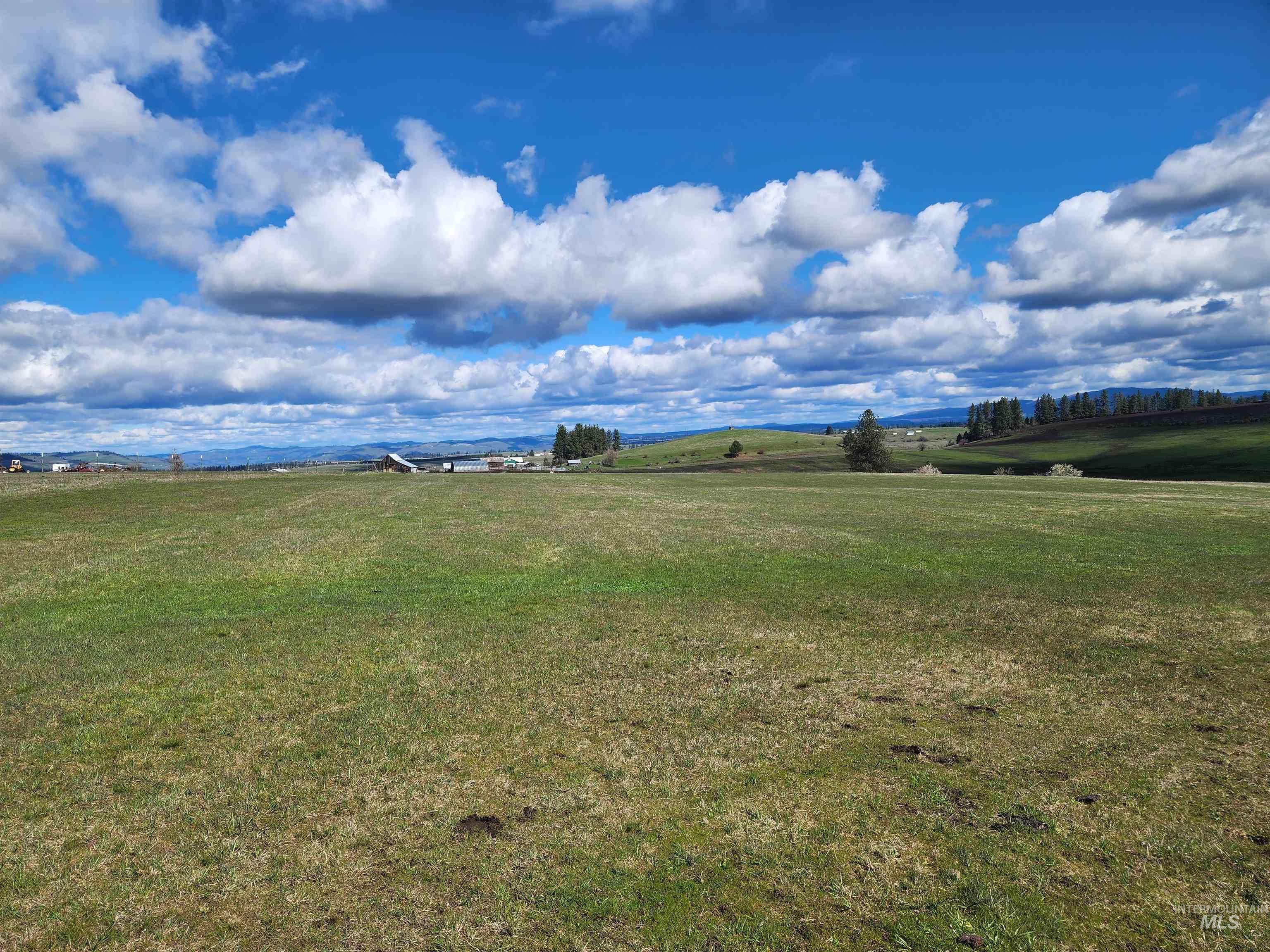 253 Brotnov Road Stites, ID 83552 - Photo 3 of 7